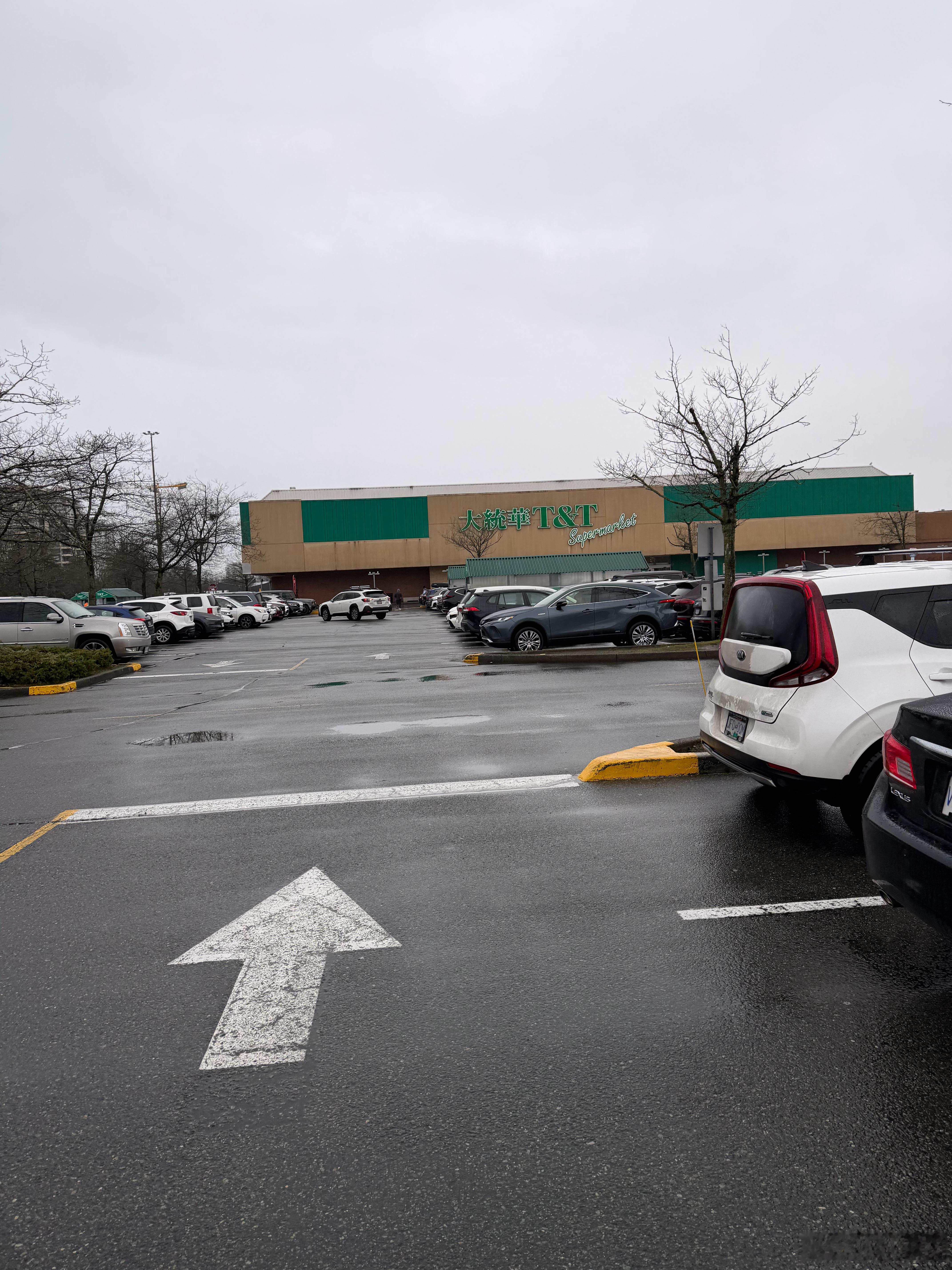 回来就要去超市，全温哥华最有年味的地方了。 