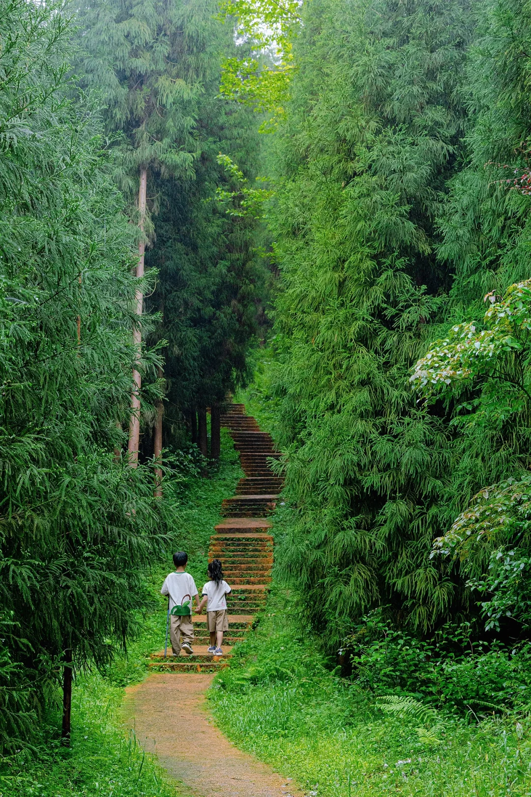 成都周边🍃｜舍不得公开的亲子徒步秘境森林~