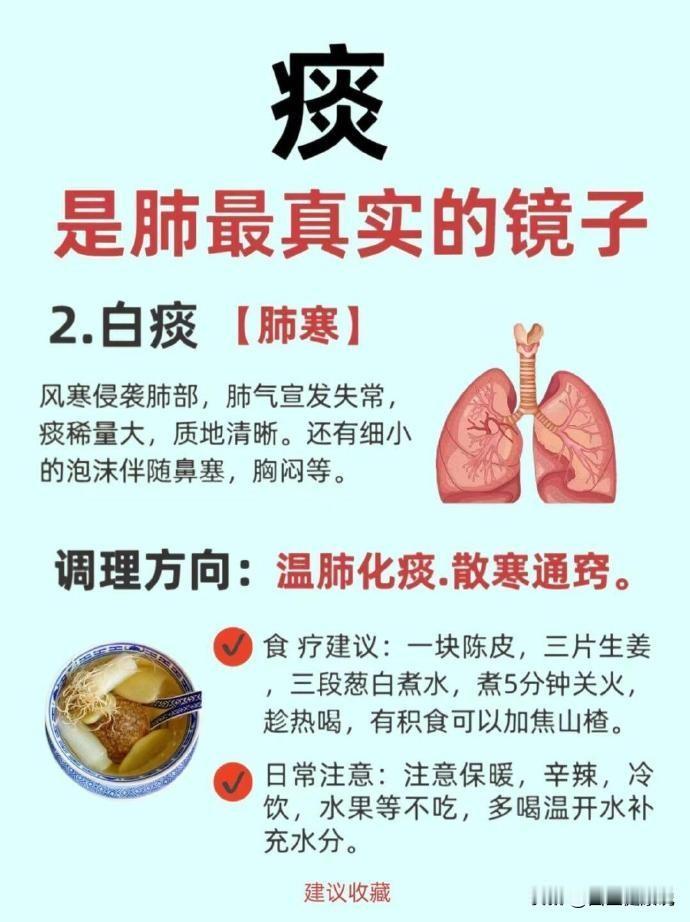 痰多离不开这个肺的问题，来看看怎么调肺祛痰湿。