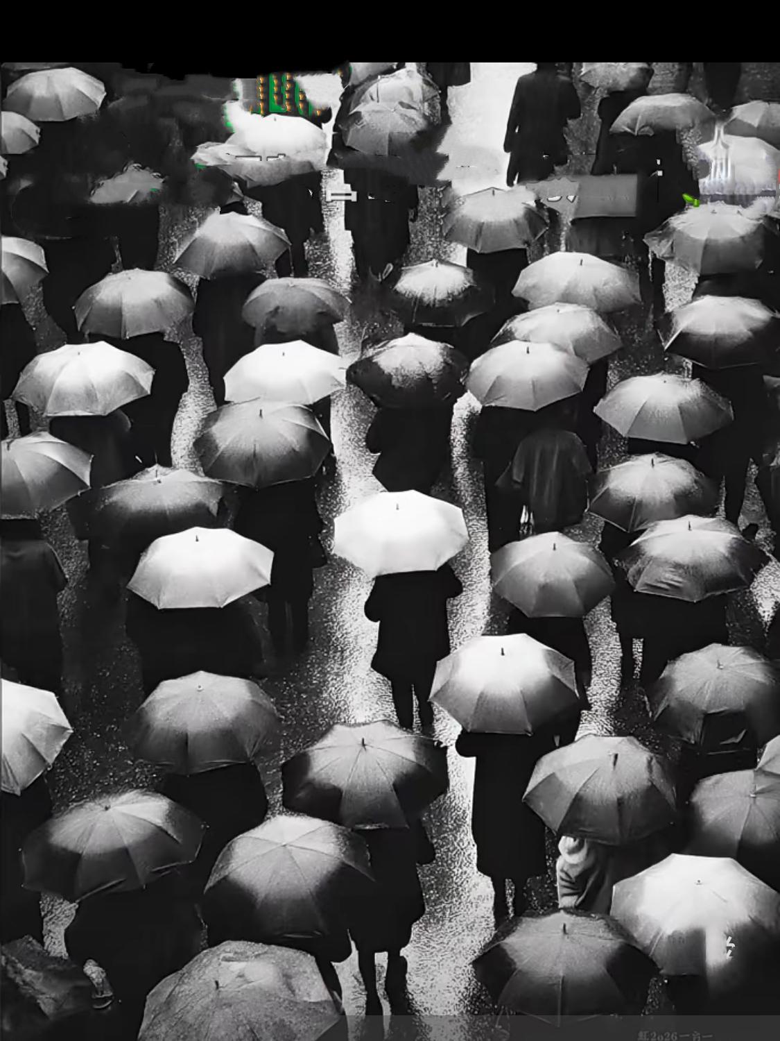 雨中物语……