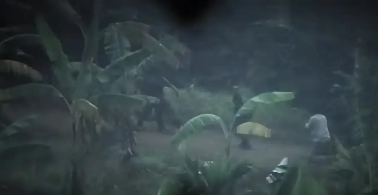 快讯！
特朗普突然宣布了

12月25日，尼日利亚西北部索科托州多处据点遭到远程