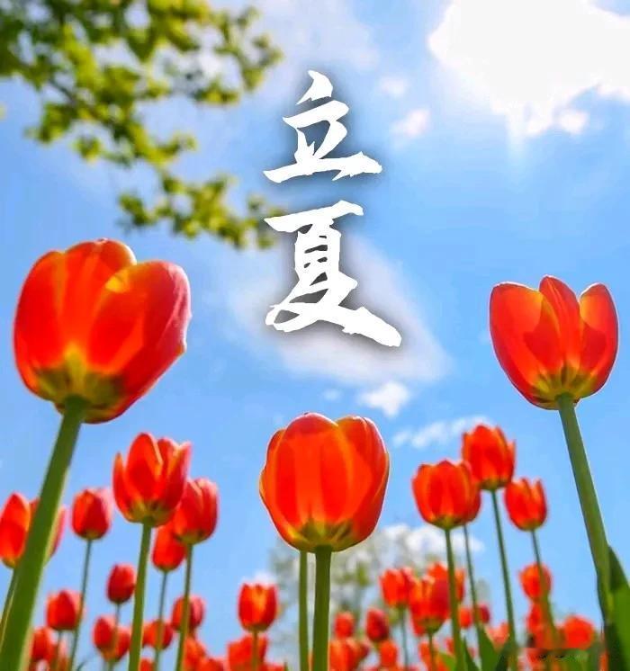 夏季安康[玫瑰][玫瑰]
与春天告别，

与夏天相拥

与阳光同行，

与健康拥