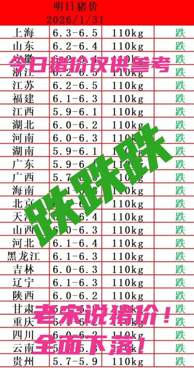 跌！2026.1.31全面下落，猪价这波行情真像过山车，爬到山凹又掉低谷，消费旺