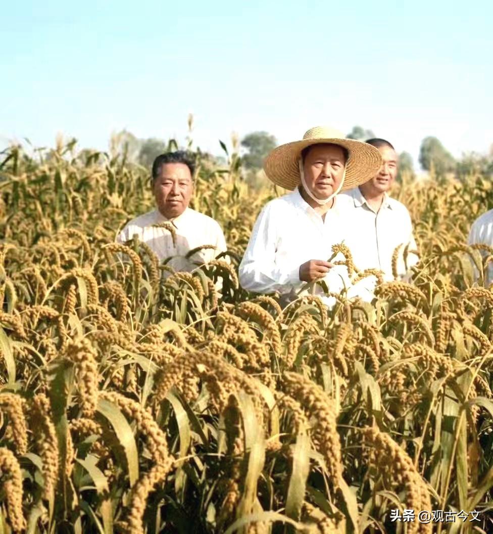 历史时光
1958年8月7日河南襄城，毛主席视察农田。记者准备拍他个人，他却指着
