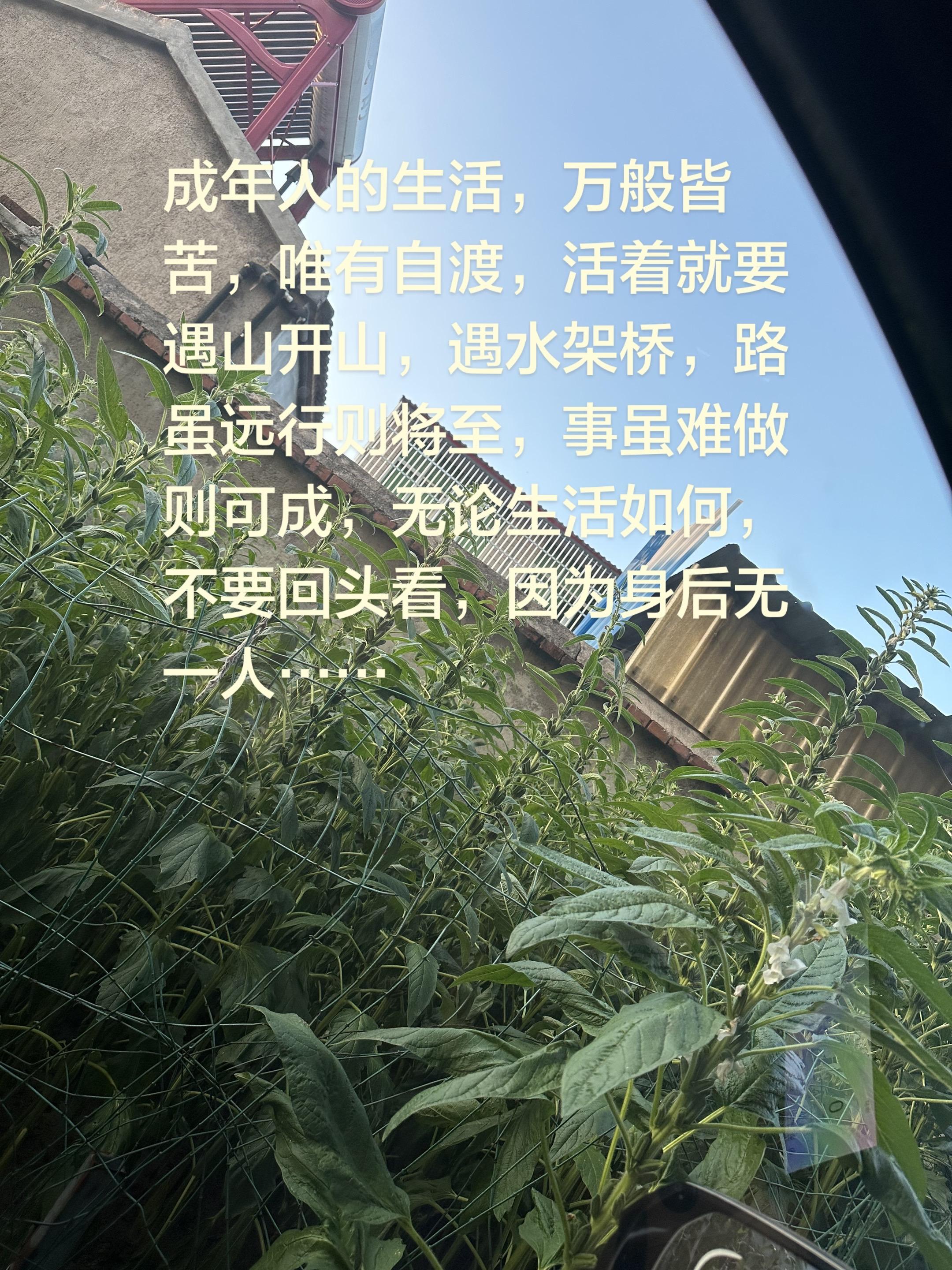 不要期待会有人为你撑伞，因为在雨伞来临之前，陪你淋雨的永远是那个坚强的自己……