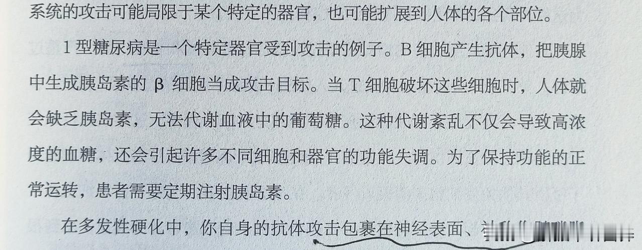 一型糖尿病的形成

1型糖尿病是一个自体免疫的典型例子。免疫细胞B细胞产生抗体，