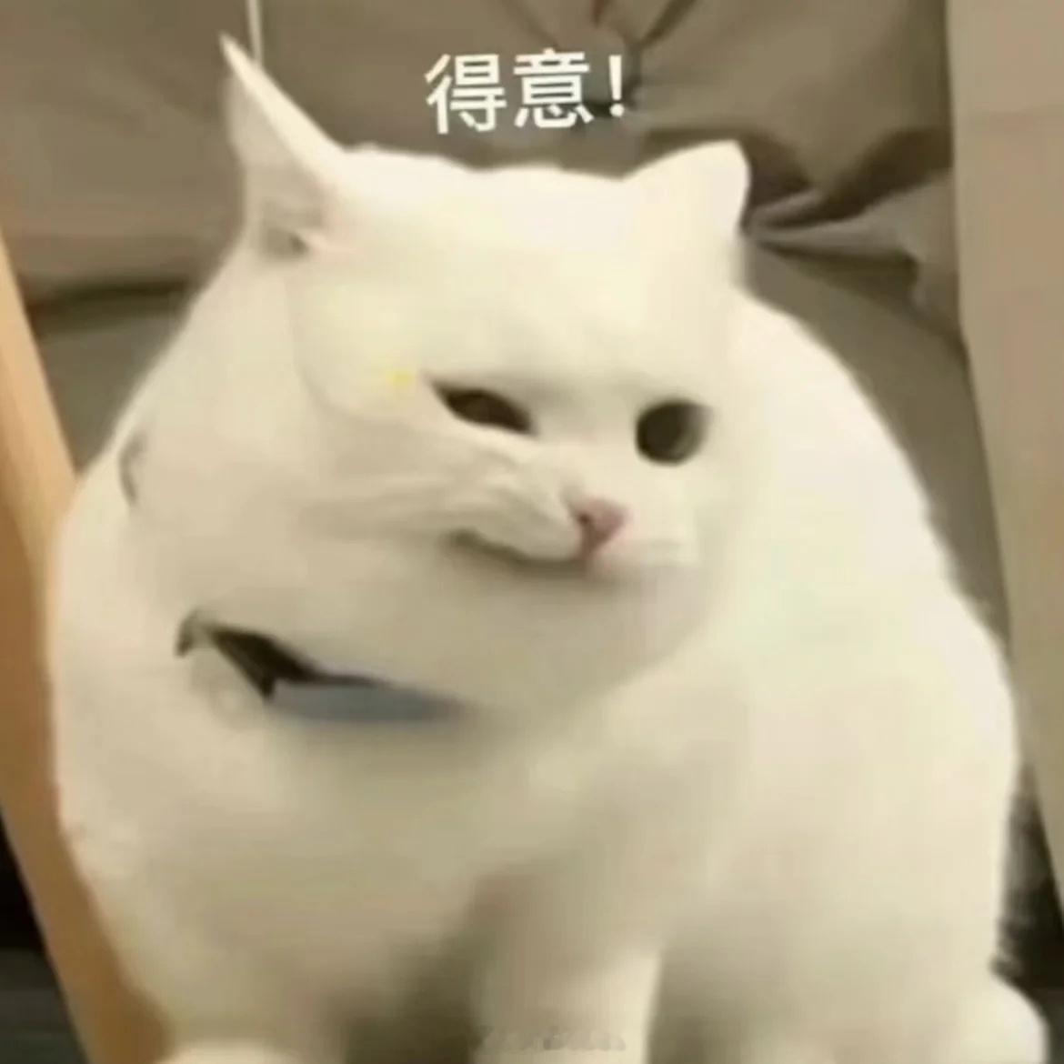 光与夜之恋萧逸  萧逸的家属感，婚后极速加强中。萧逸最近开始出现在你公司里了，说