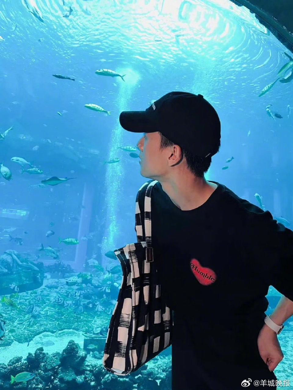 【快跟ta们一起拍摄海洋馆里的氛围感大片】谁能拒绝梦幻又治愈的海洋馆？幽蓝的水波