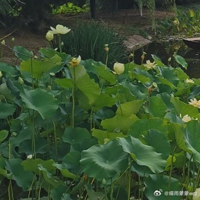 遥寄相思与日月，点燃祝福心灯🏮快乐随风送真情，描绘幸福图腾㊗️问候点点几多情，
