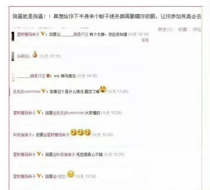 孙杨粉丝一恨陈慧佳的断子绝孙脚 二恨陈慧佳的断子绝孙脚大败 导致现在天上的星星不