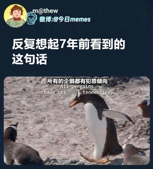 hihihi（9gag）哎呀