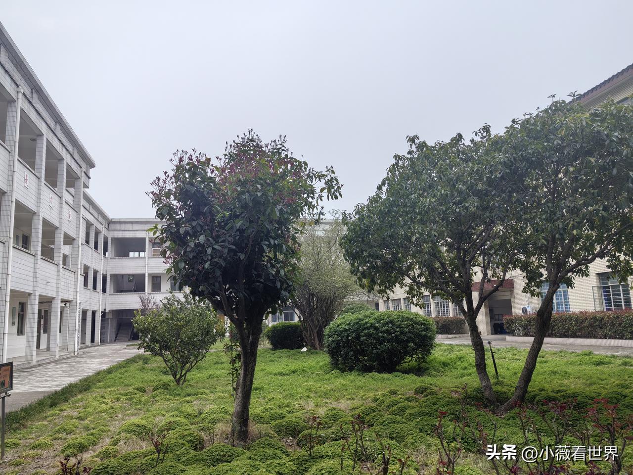 就是这个地方，每次走到这里，总有一种异样感情产生，这是为什么呢？

很简单，因为