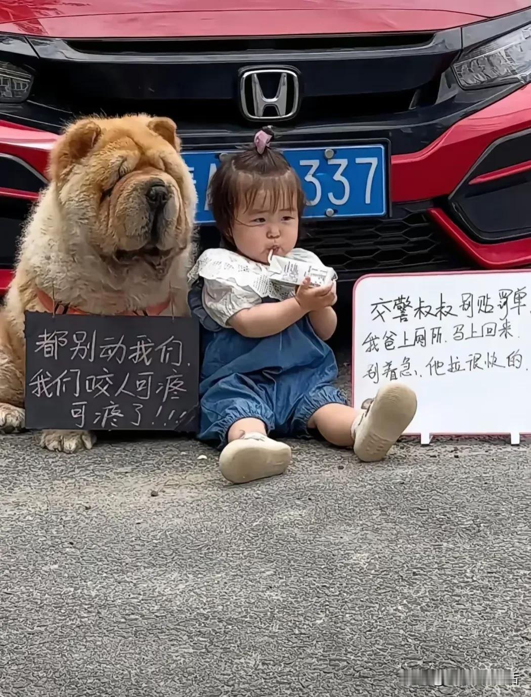 妙
这个方法不错
估计适合外出
不熟悉地方
又着急上厕所的车主
但前提是要有这两
