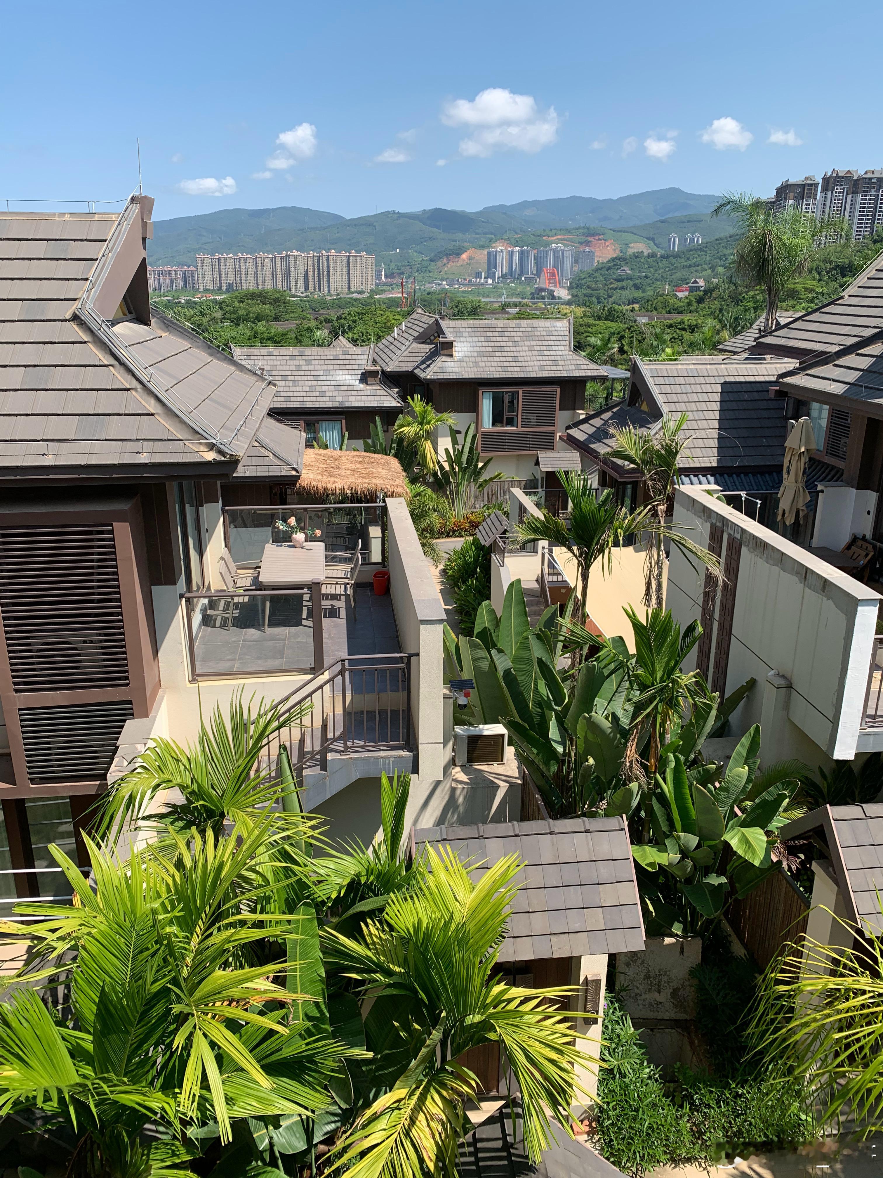 潮湿、黏热，闷雷轰隆，好似回到了热带雨林，身处版纳的芭蕉叶下吃着芒果，等雨来。半