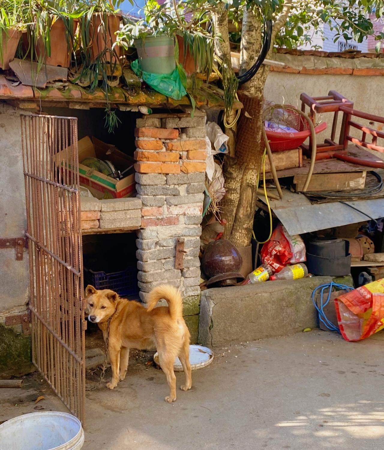 刘震云：）
没有不出轨的中年夫妻，每一对中年夫妻都有情人。有出息的人，会拥有肉体