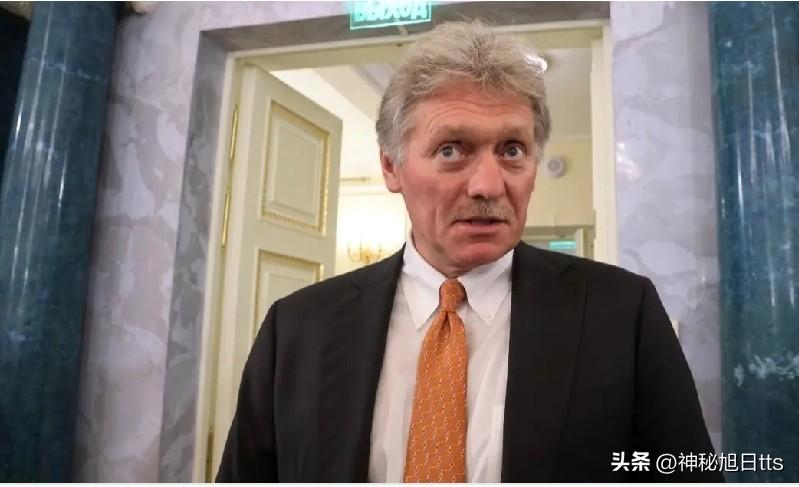 俄罗斯方面称伊朗并未请求援助

克里姆林宫发言人声称，伊朗并未向俄罗斯寻求除莫斯