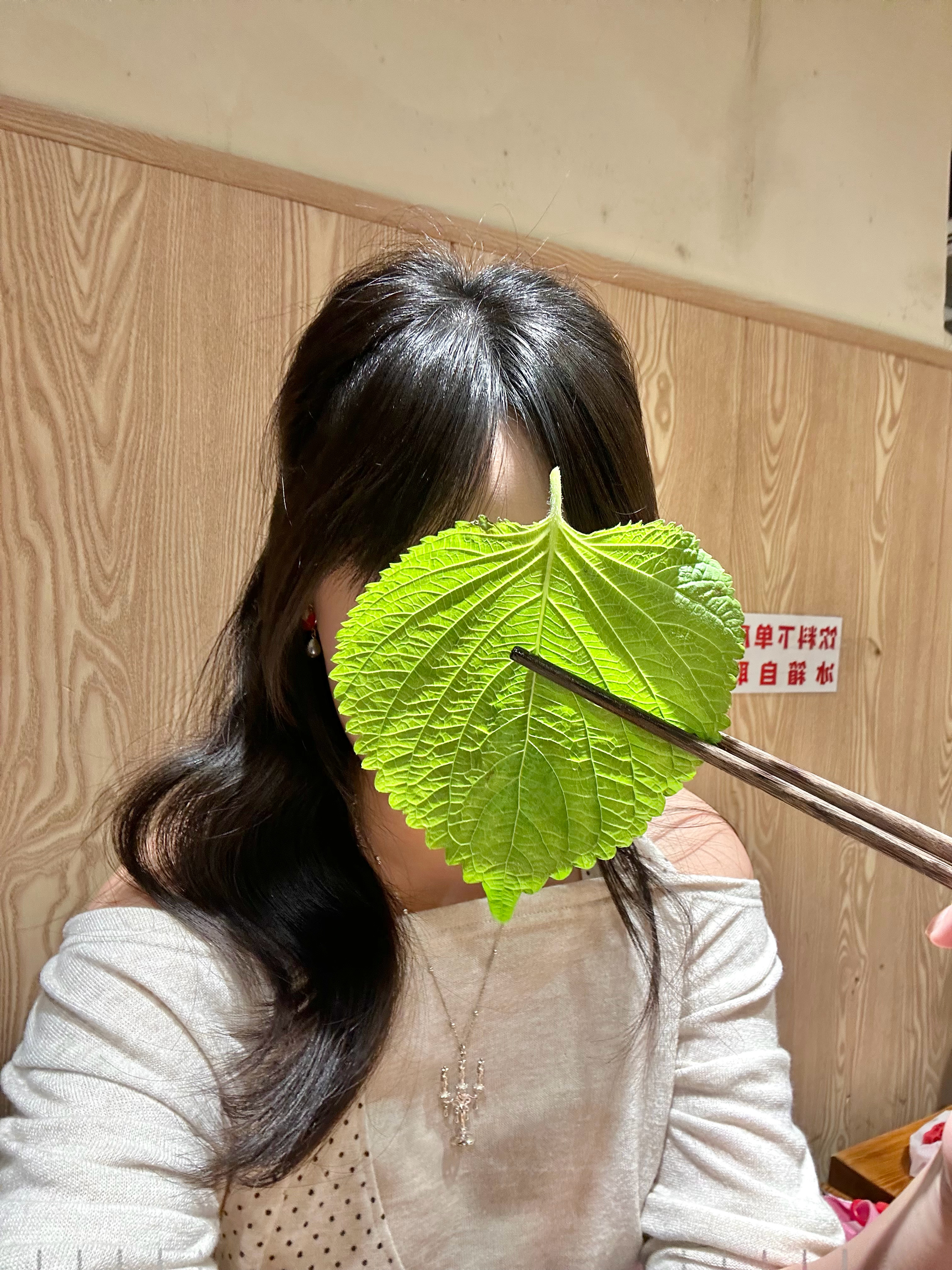 莫吉托里的植物在我想象中就是这个苏子叶的味 ​​​