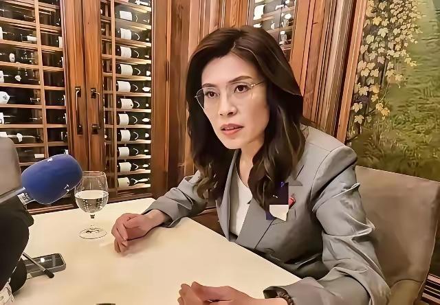 当初郑丽文刚上任台湾国民党主席时说过，她是一巧言令色、投机取巧的白骨精。
6月1
