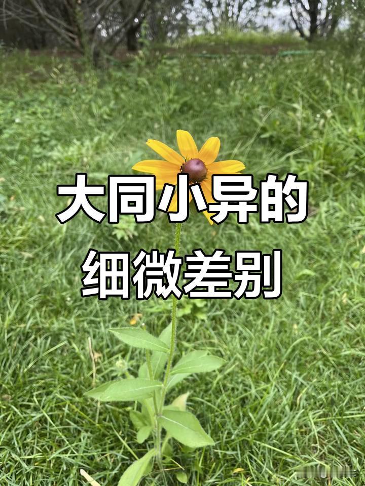 女：我要结婚了，但是我们男朋友好像不正常！
男：怎么了？
女：他好像对他哥们比我