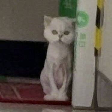 妹妹是你吗