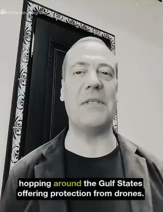 伤害性不大，侮辱性极强！俄罗斯当代文豪梅德韦杰夫嘲讽“绿色昆虫”（泽连斯基的俄语