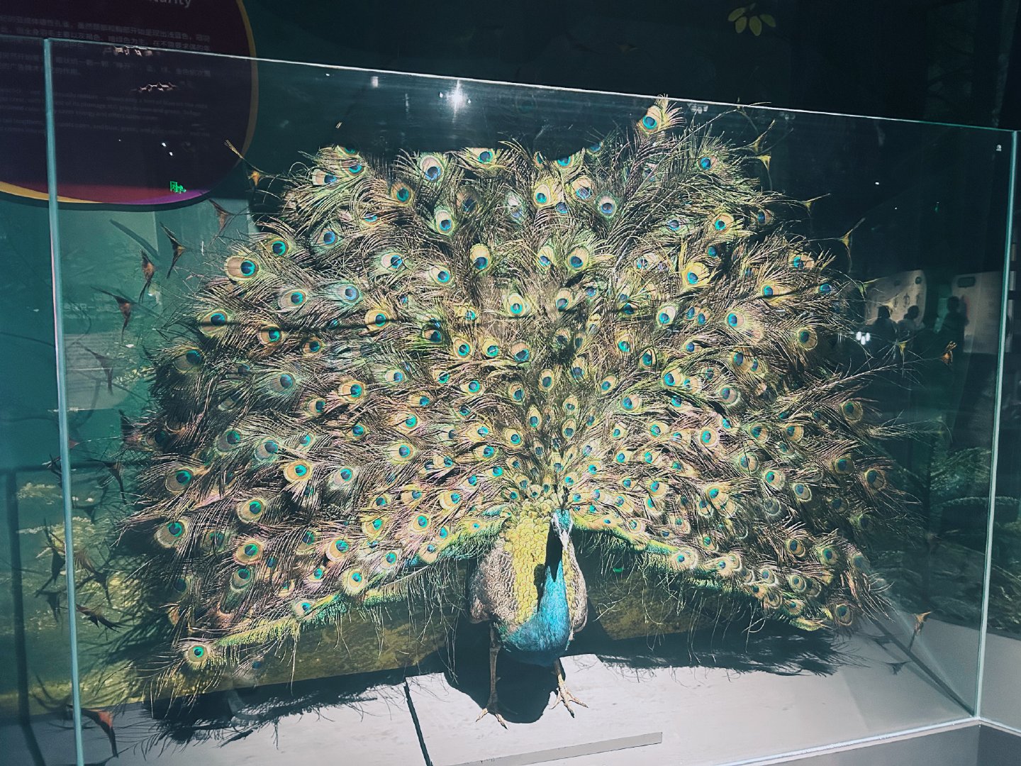 每日一善 一滴水是微不足道的，渗入泥土，便会消失不见，可汇聚成河却是川流不息。如