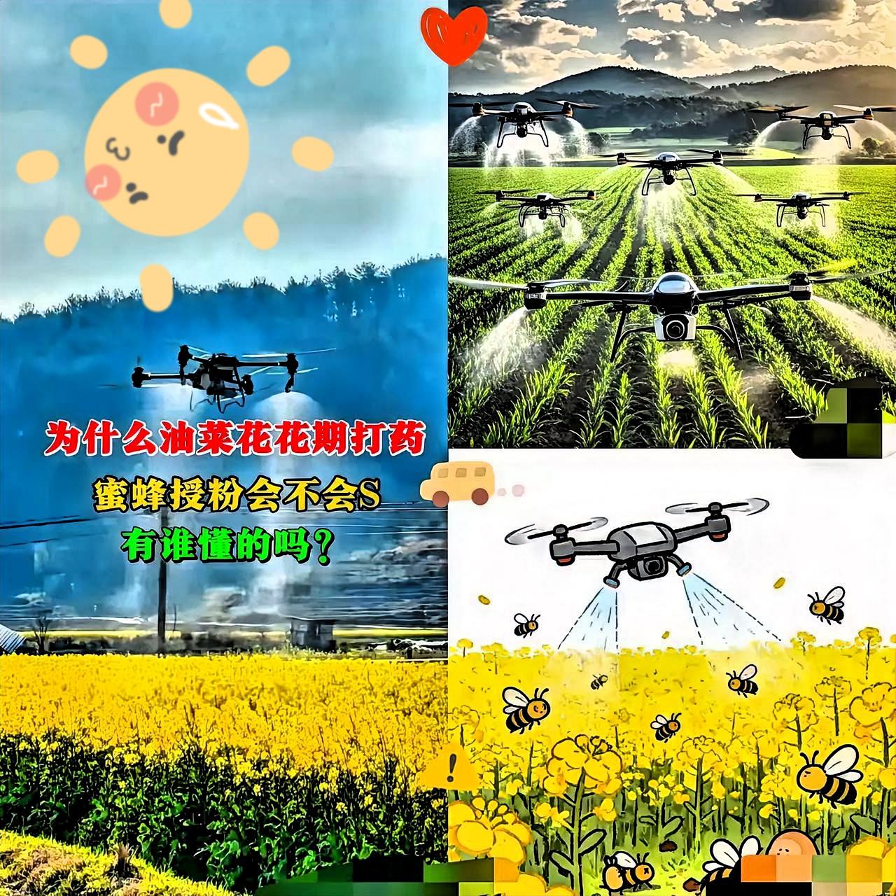 官方这次动真格了！油菜花花期乱喷药的人，这下真的坐不住了。
 
看着蜂农守着满地