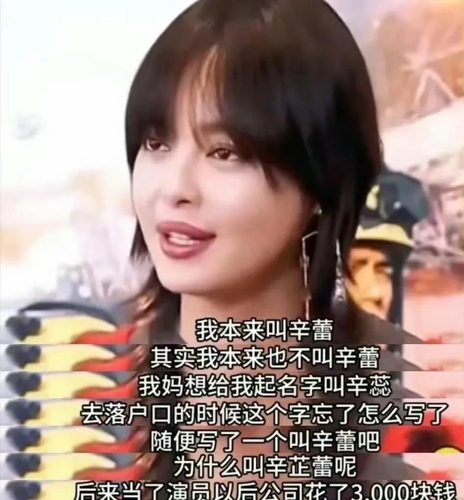 辛芷蕾竟是艺名？寓意“心止累”太有智慧了！你以为“辛芷蕾”只是个普通艺名？背后竟