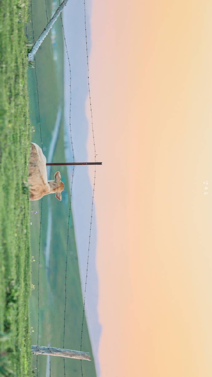 你可以拥有一段糟糕的经历，但不能放纵自己过糟糕的生活。记住，命运只是负责洗牌，但