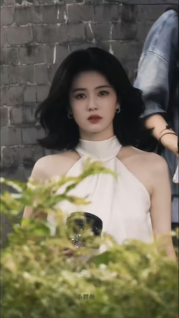白鹿回复猫的树期待正在开拍的《开到荼蘼》吧王韵娜港风大美女 