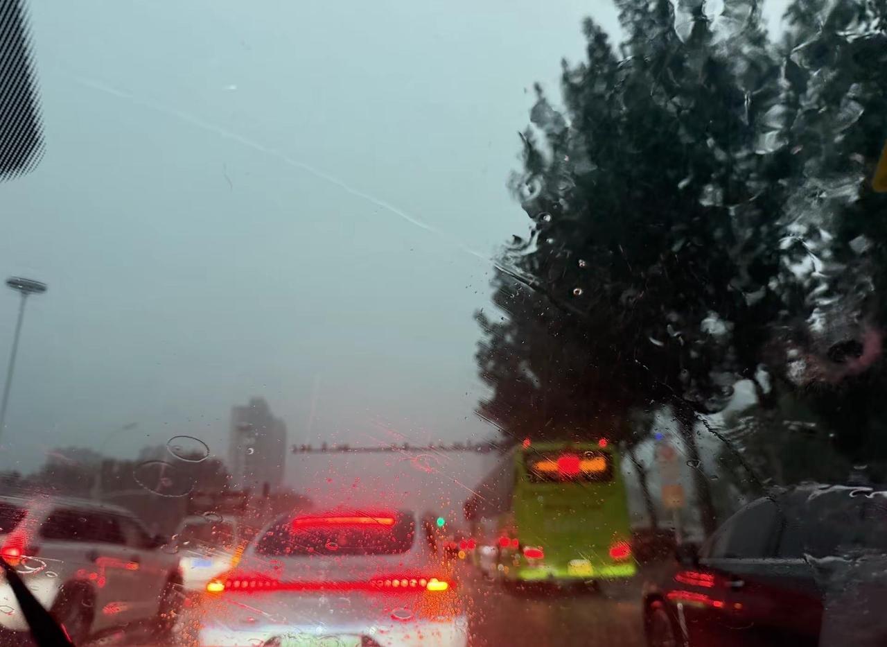 我说，我会陪你到.你不要我的那天，我做到了，明知不可为而为之，是我对你最大的诚意