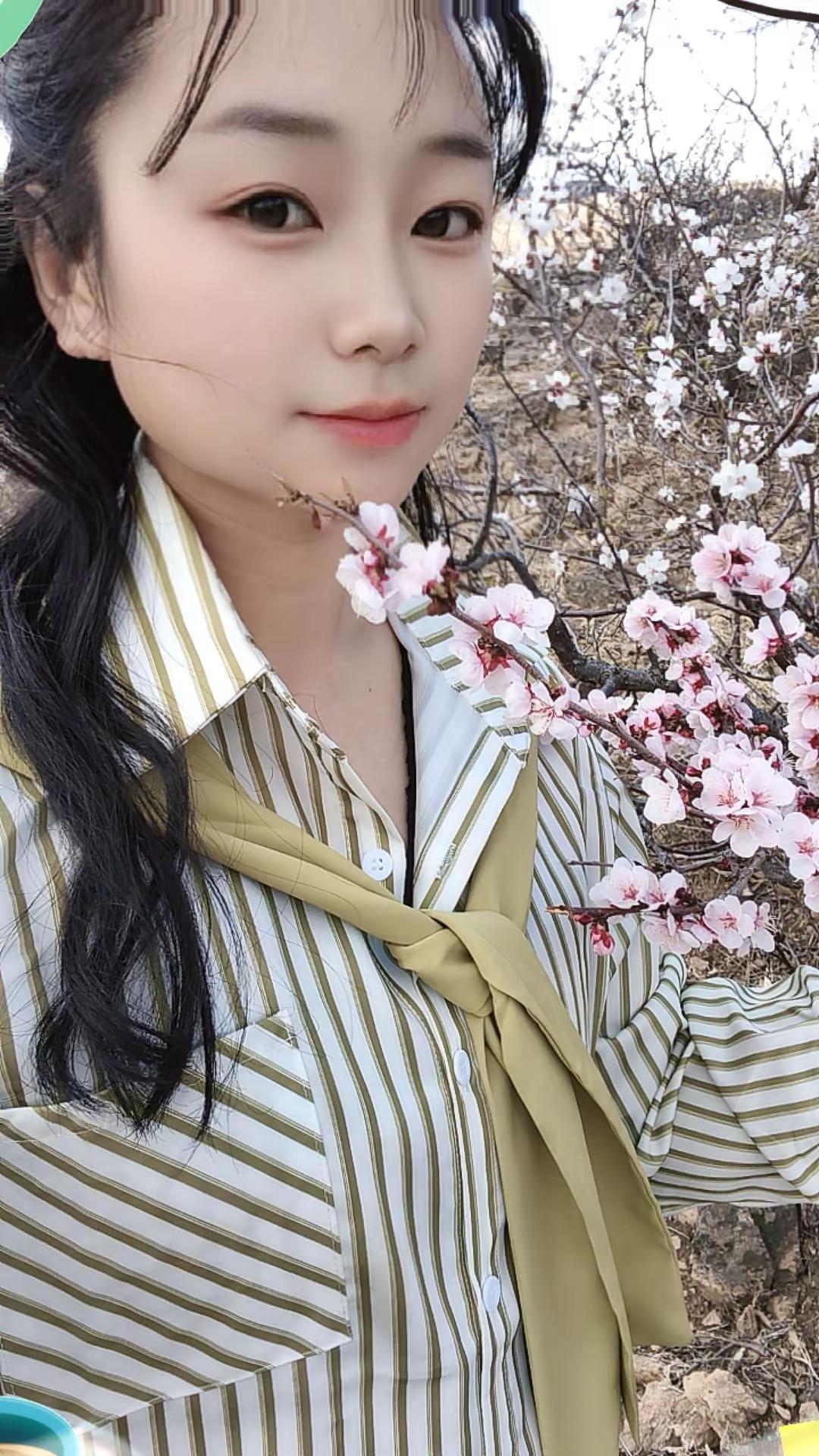桃花运 初春 花季 看花
