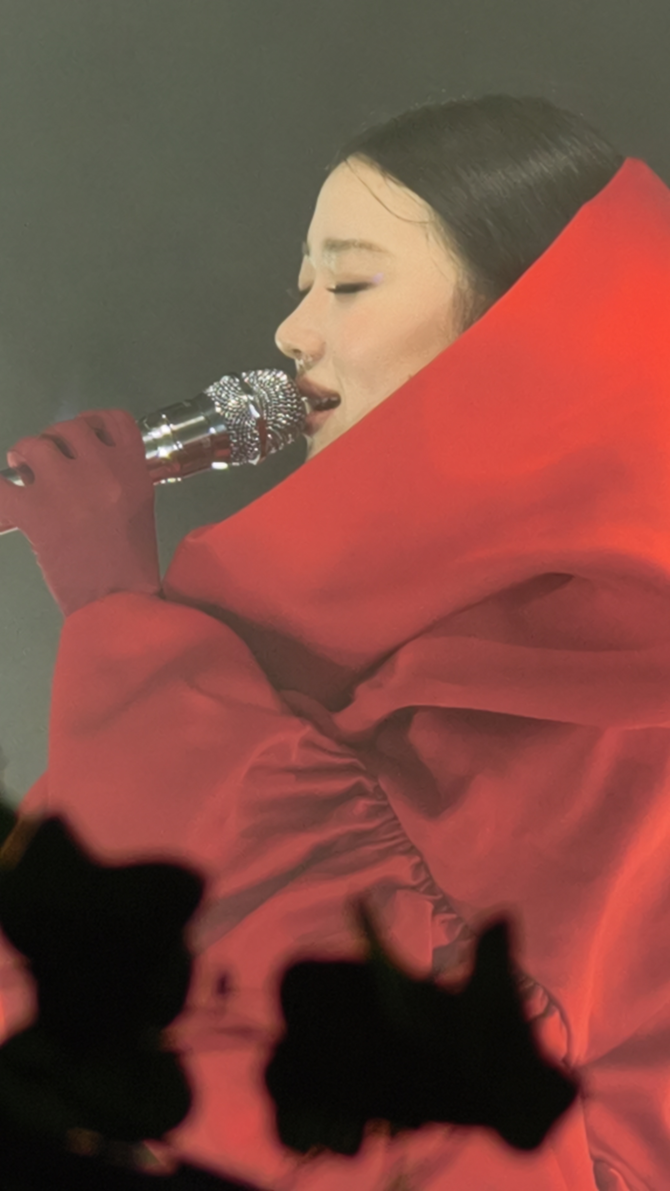 俺家咪的小翘鼻🥺🤏 