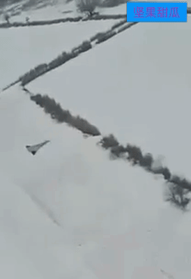 俄军小摩托难拦。据乌克兰国防部长顾问弗拉什透露，这些无人机在手动控制模式下，尤其