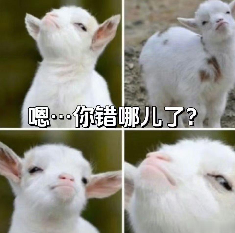 #幸运星指南# 当你跟一个摩羯座道歉： ​​​