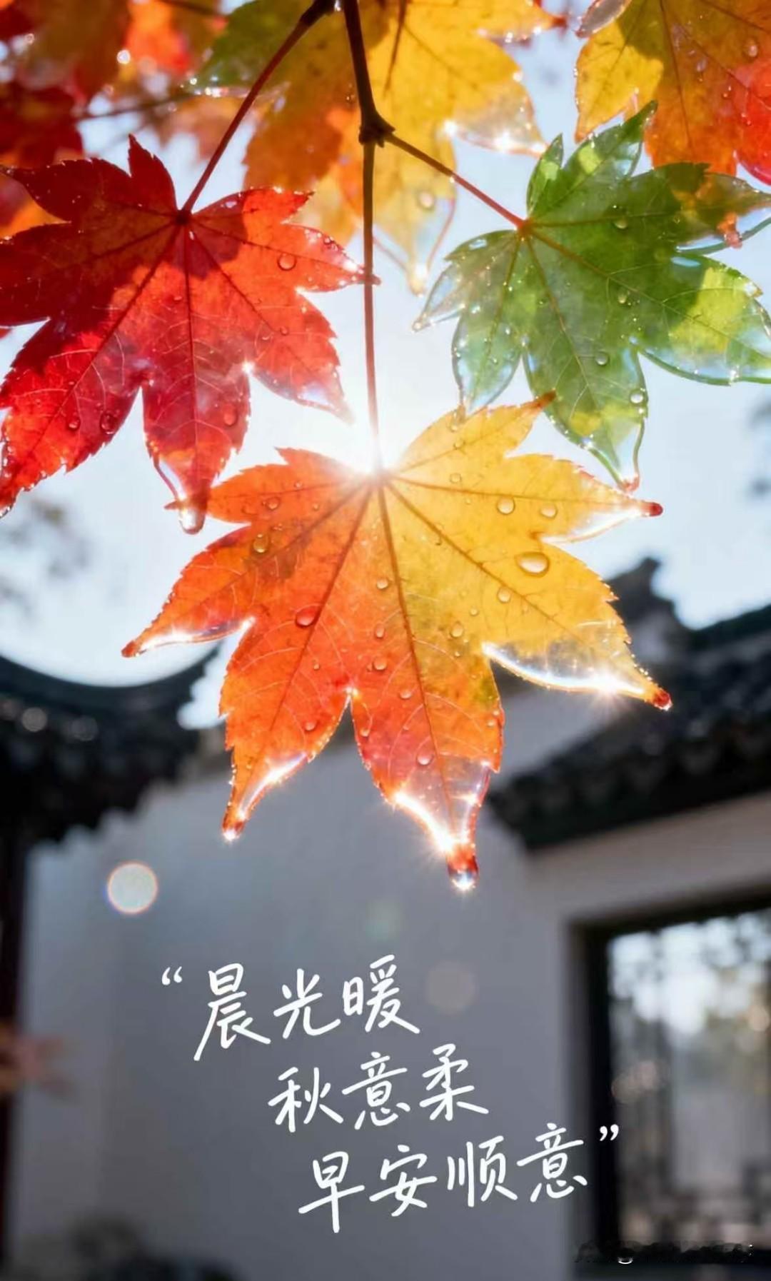 美好的一天当然是从笑开始了
早上七点一睁眼就看到我那八个月的好大儿瞪着两个大大的