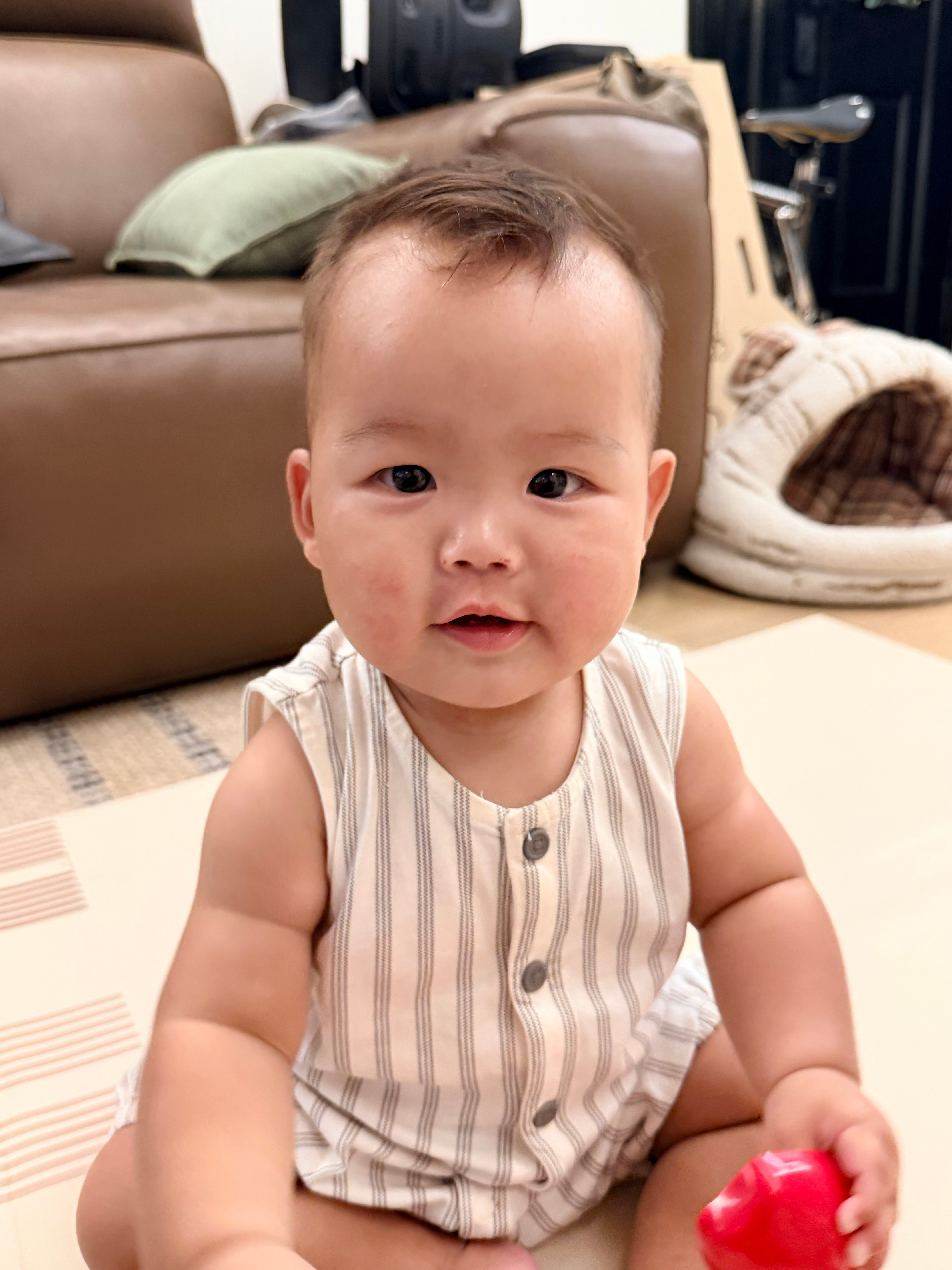 特别喜欢看风仔低头玩的时候，脸上挂的两坨肉太可爱了