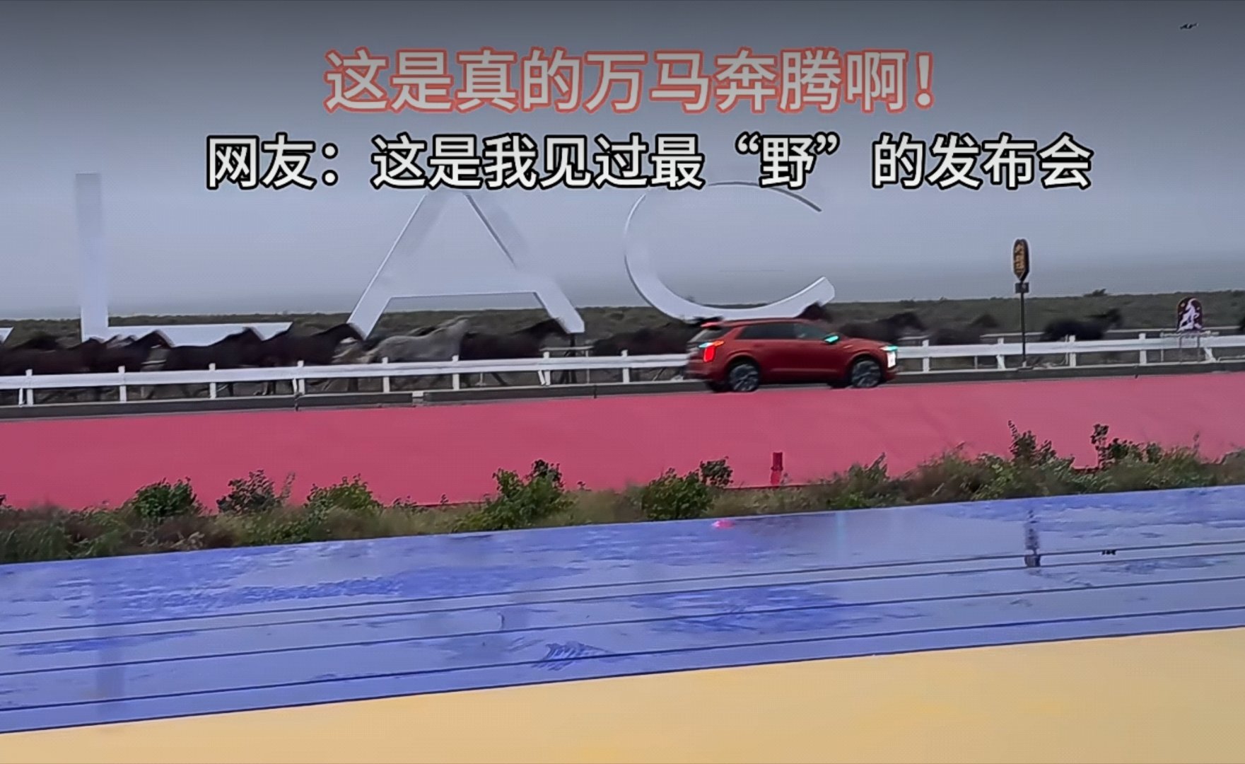 凯迪拉克的发布会跑的是真马啊。网友:当全网都在AI的时候，老一辈玩家还在坚持手搓