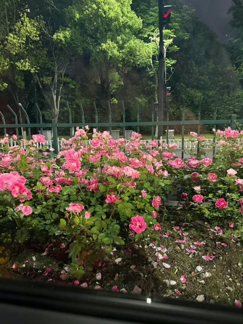谁能尽情享受瞬间的快乐，谁总是生活在现在，不瞻前顾后，那么生活就不能损害他一丝一