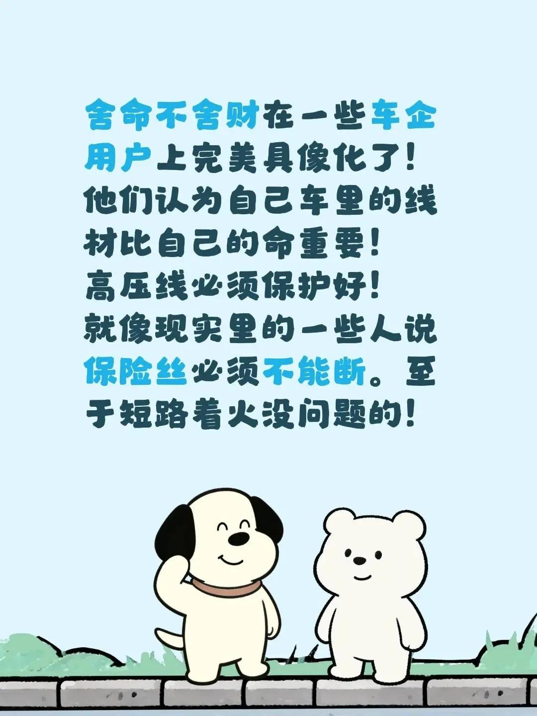 舍命不舍财在一些车企用户上完美具像化了！他们认为自己车里的线材比自己的命重要！高