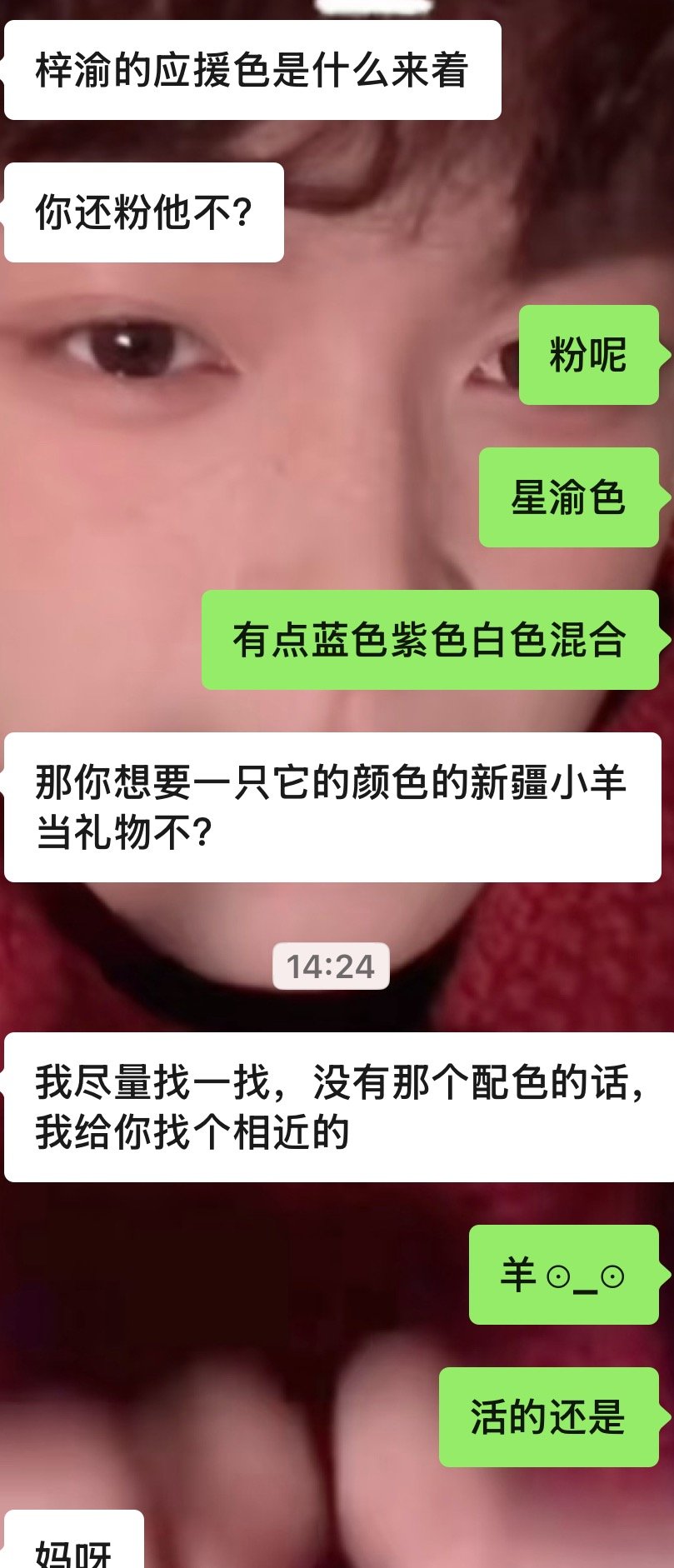 当我新疆的朋友说要给我送一只小羊不玩网不懂潮流就这样 