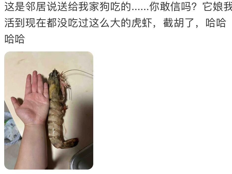 狗狗的人脉能有多广 ​​​