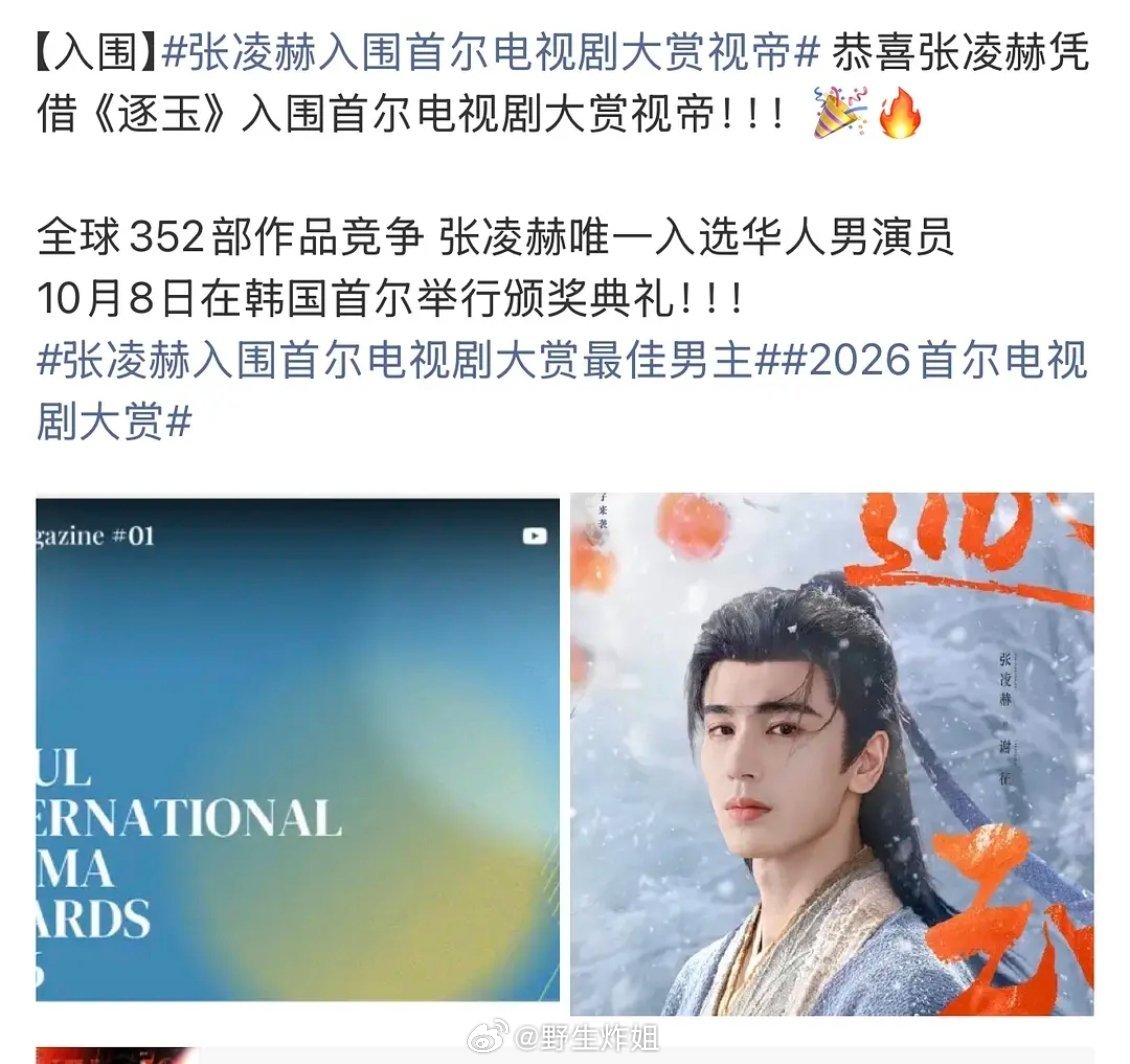 张凌赫已经入围首尔电视剧大赏视帝提名 