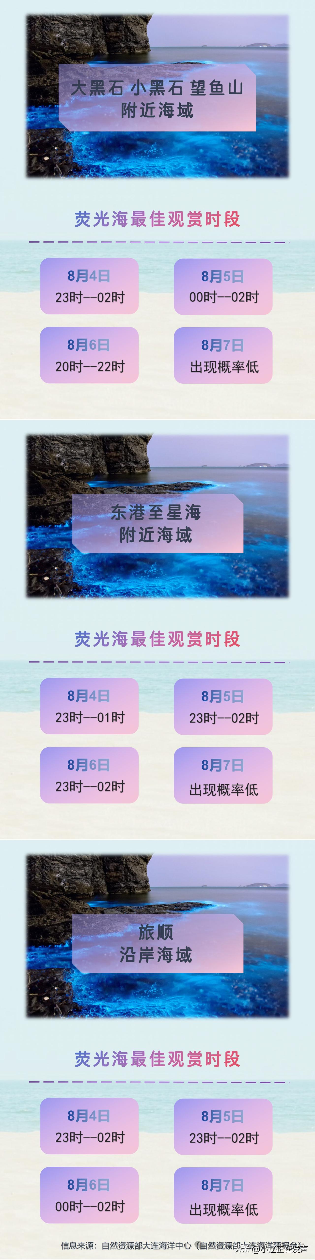 大连荧光海8月4日至8月7日最佳观赏时段