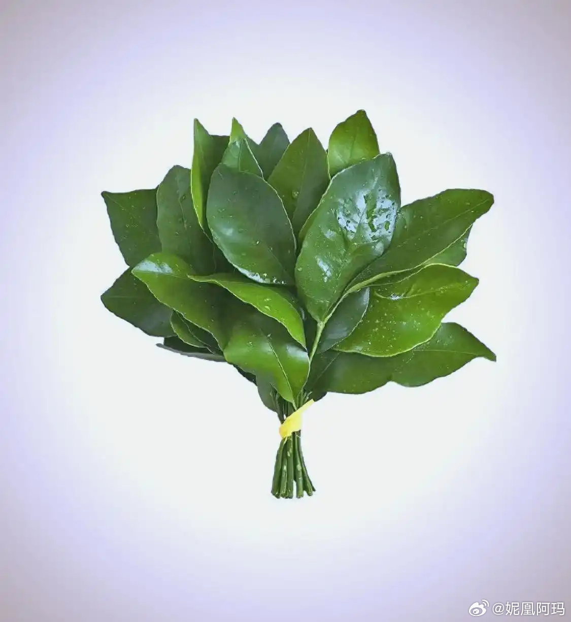 于和伟老师粉丝们，什么话也不说了，拿着吧 