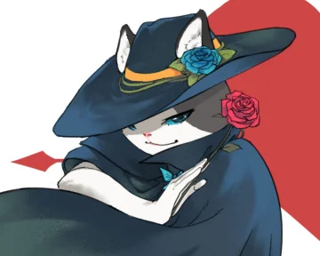 妄猫