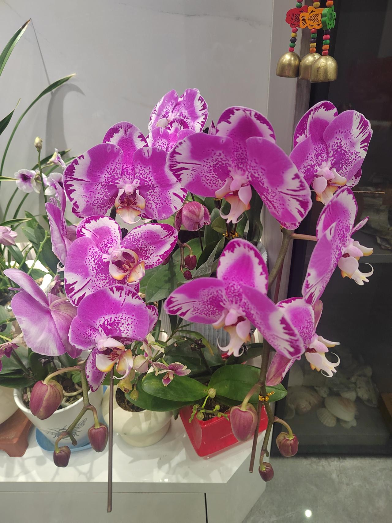 拍照打卡，不是浮躁，是热爱生活
 
现在的人走到哪都爱拍照打卡，有人觉得太浮躁、