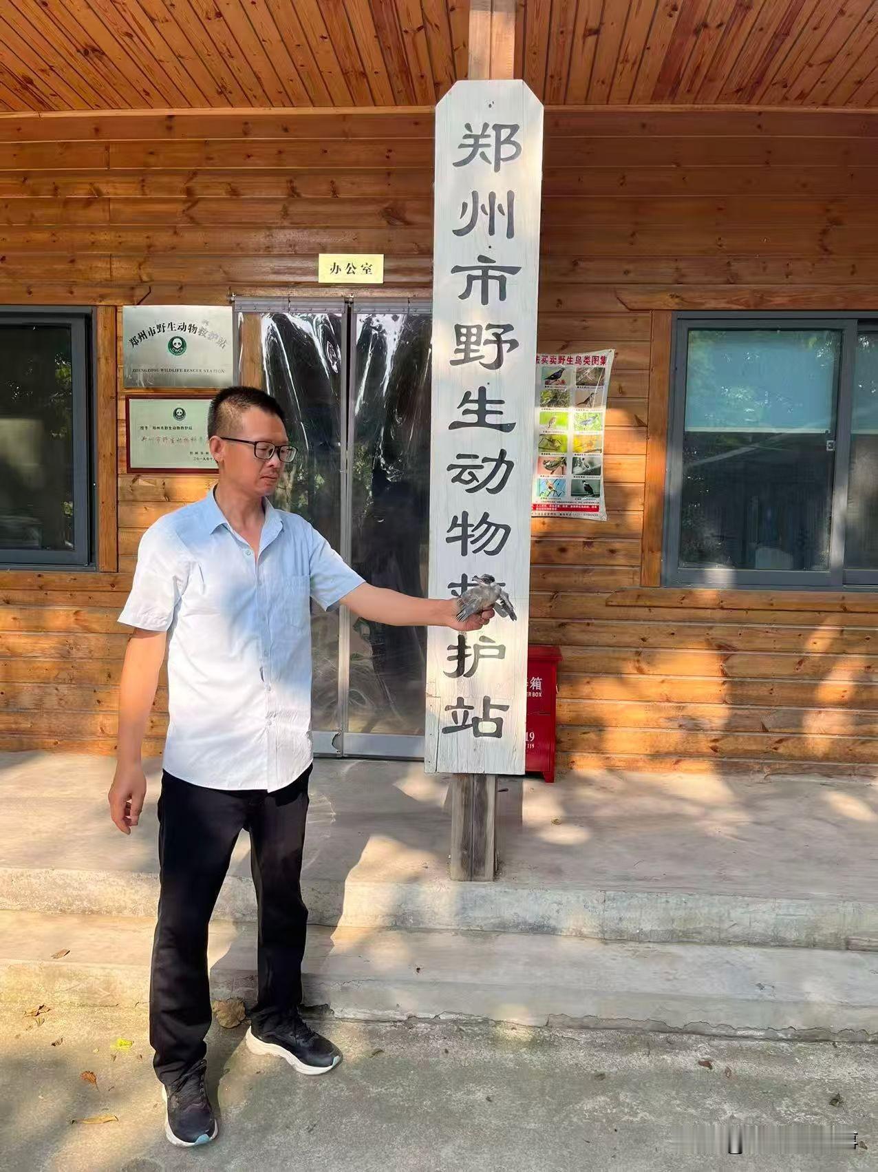 今天，郑州市野生动物救护站工作人员，前往郑州市管城区陇海东路附近恩宠动物医院（管