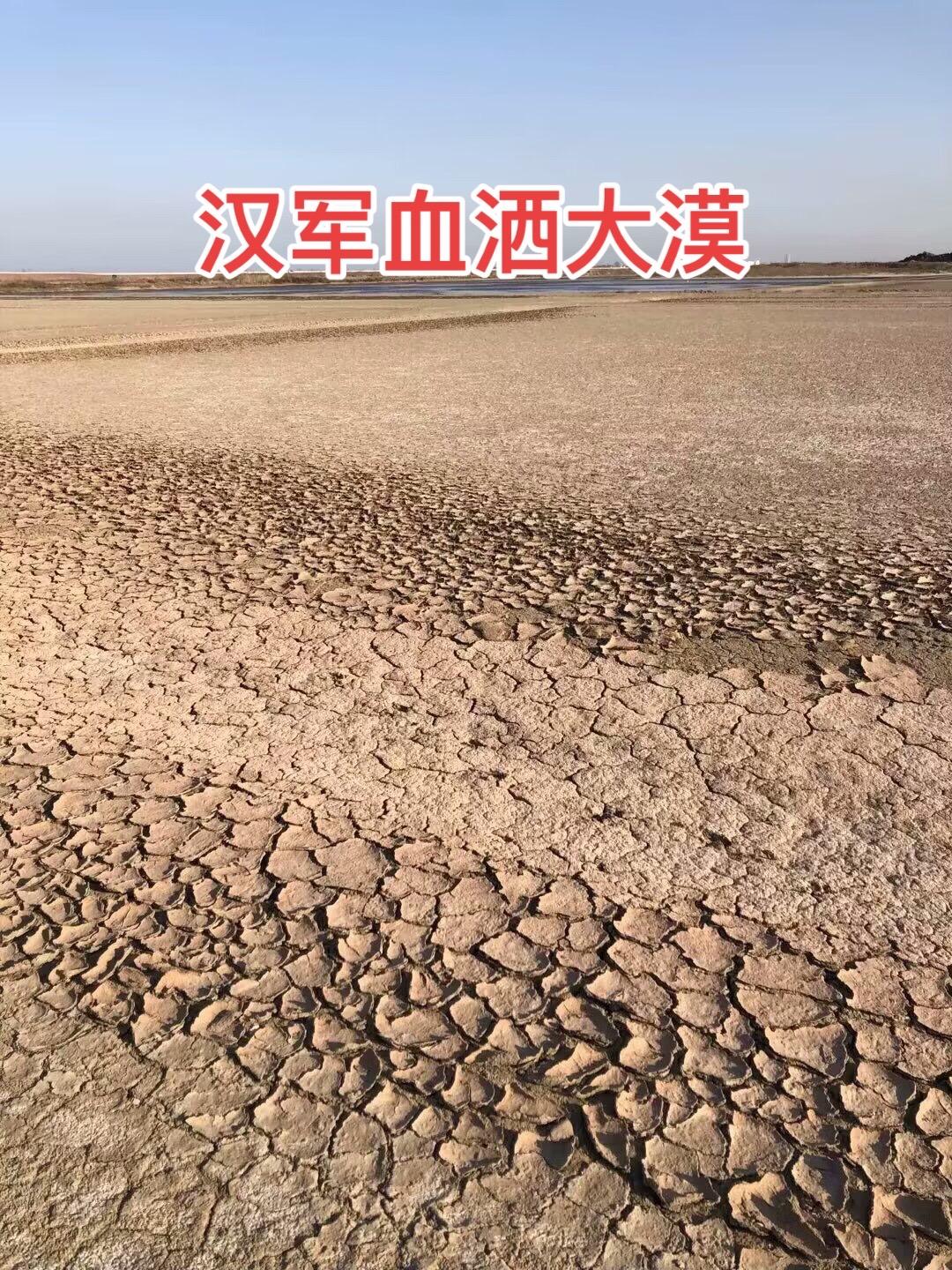 汉武帝对匈作战数年以后，随着最耀眼的名将卫青、霍去病、李广等人的凋敝...