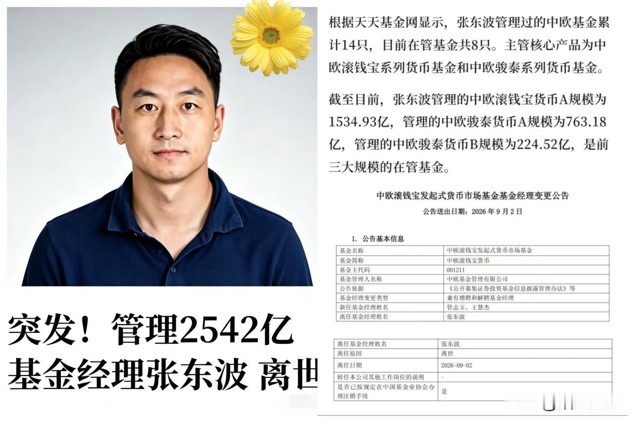 张东波，没了
 唉有一个青年才俊没了。 
 
 公告令人唏嘘，离任原因：离世。 